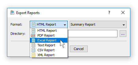 DiskBoss Batch Reports Format