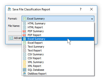 DiskBoss Save Excel File Classification Report