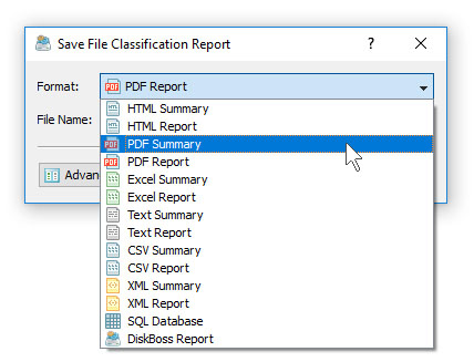 DiskBoss File Classification Save PDF Report