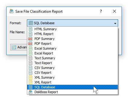 DiskBoss File Classification Save SQL Database Report