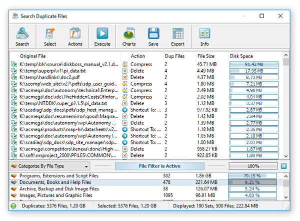 DiskBoss Duplicate Files Filter Active